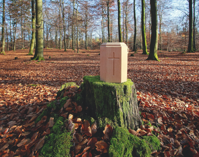 Services funéraires modestes